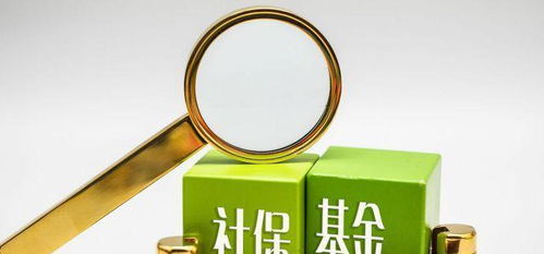 社保之重 從個體選擇到社會養老責任的思考